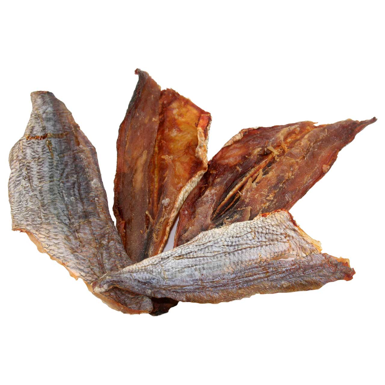 Dorade-Filet