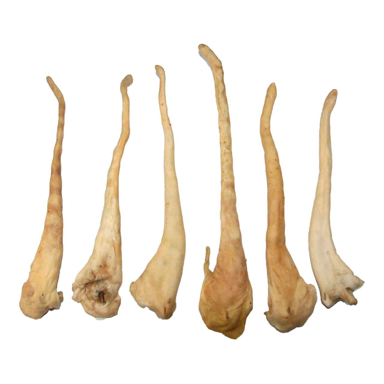 Lammschwänze