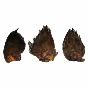 Wildschweinohren mit Fell