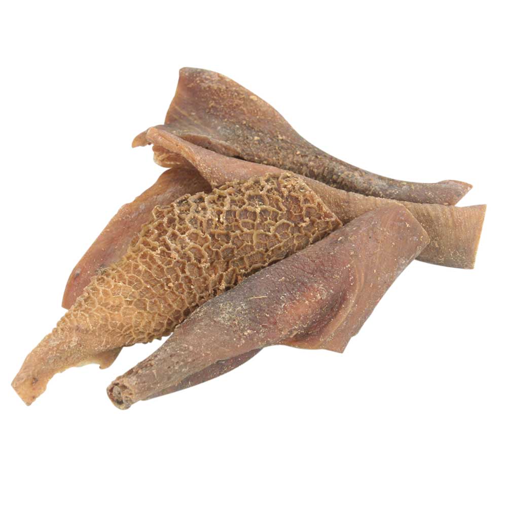 Weisser Rinderpansen