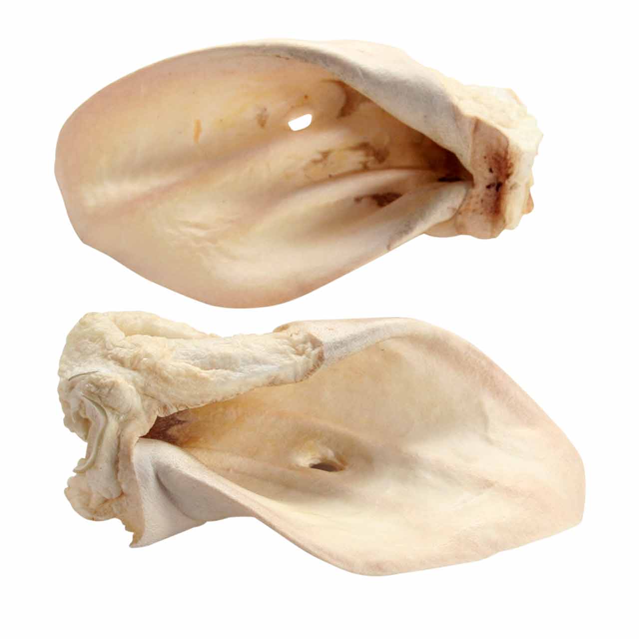 Rinderohren weiß ca.25-40 gr.