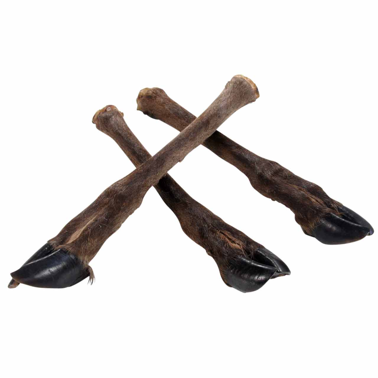 Hirschunterbein mit Fell ca.300-450 gr./Stk.