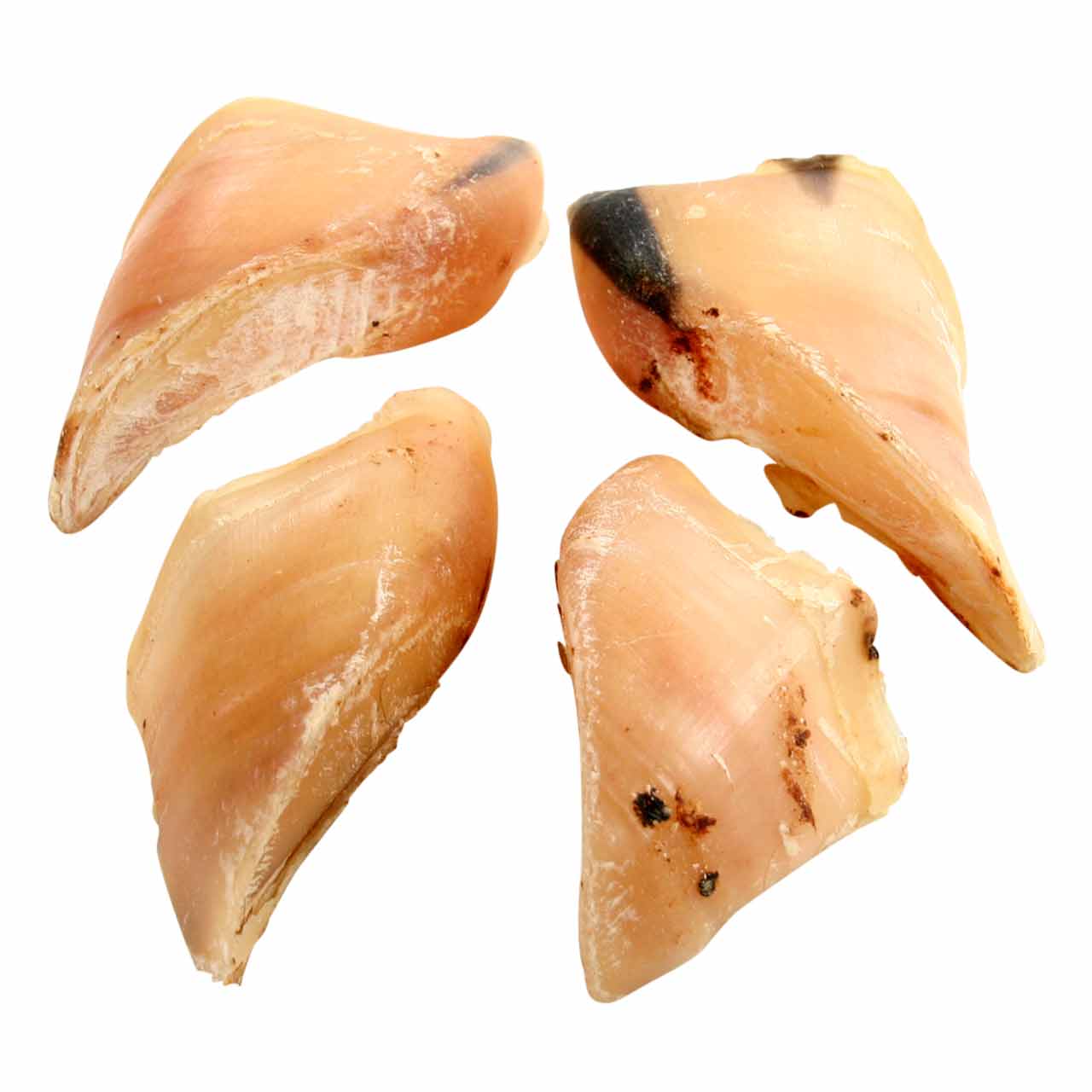 Kalbshufe