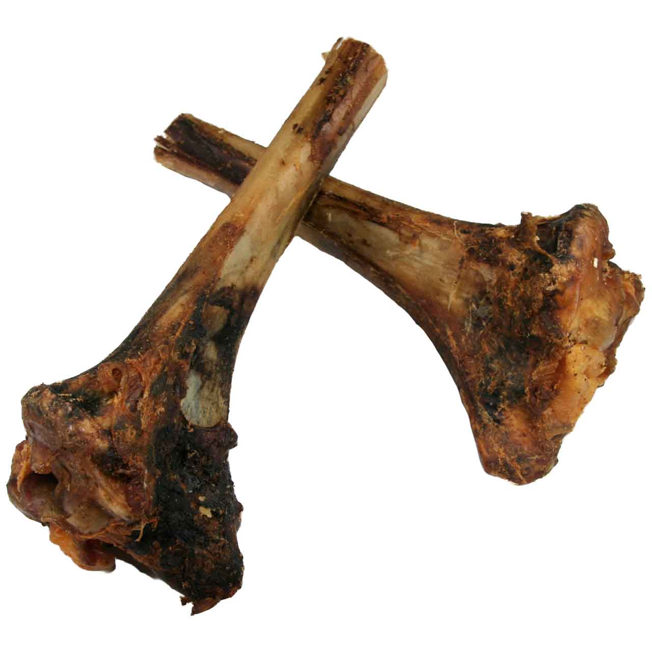 Straußen-Tibia Knochen groß