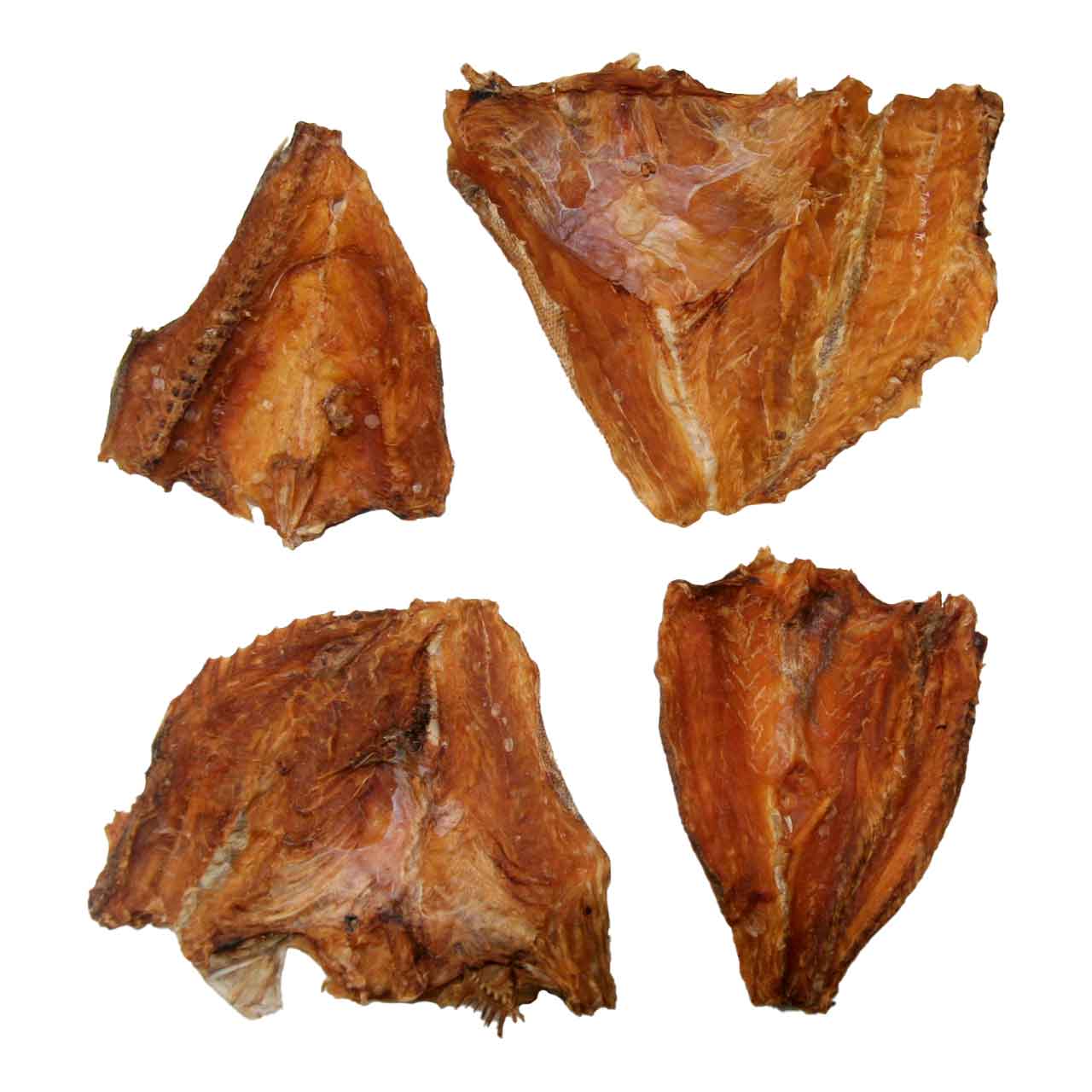 Croaker Fisch (Trommler)
