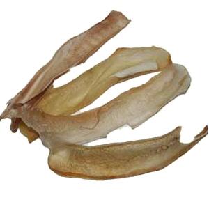 Nasenscheidenwand vom Rind