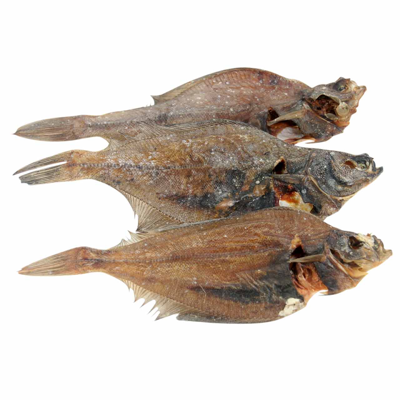Flunder ganze Fische