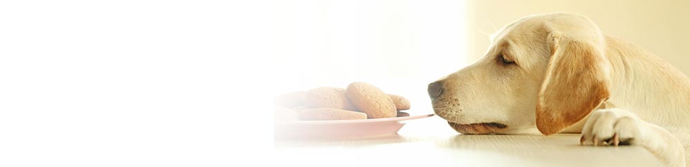 1-A_kausnacks_kekse-kuchen