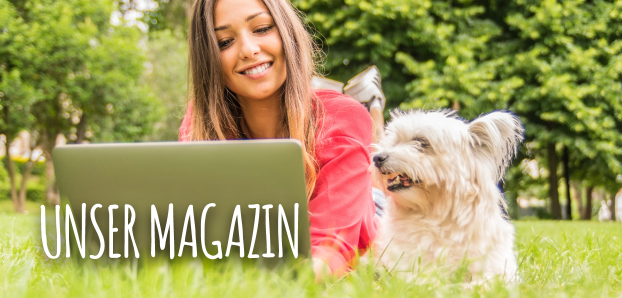 https://sw6.hunde-kausnacks.de/media/f3/ea/5f/1721992962/teaser_magazine.png?1721992962